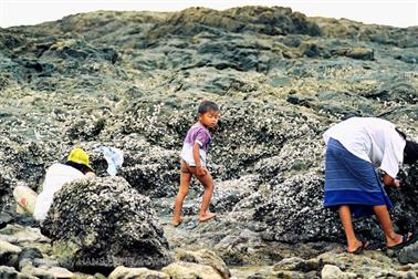 16 Thailand 2002 F1080035 Khao Lak Muschelsucherin_478